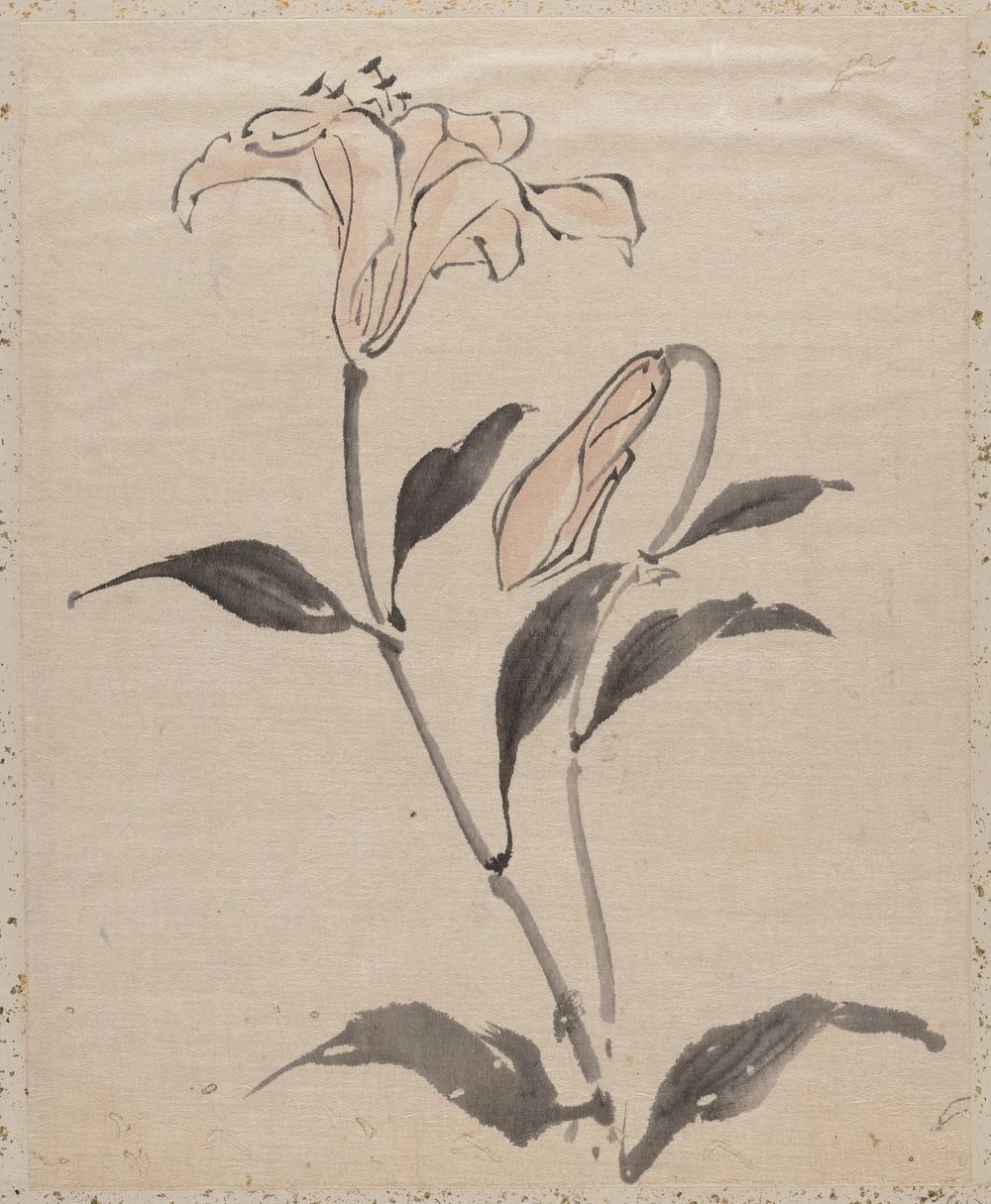 Flower, Album of Sketches by Katsushika Hokusai and His Disciples. Original public domain image from the MET museum.