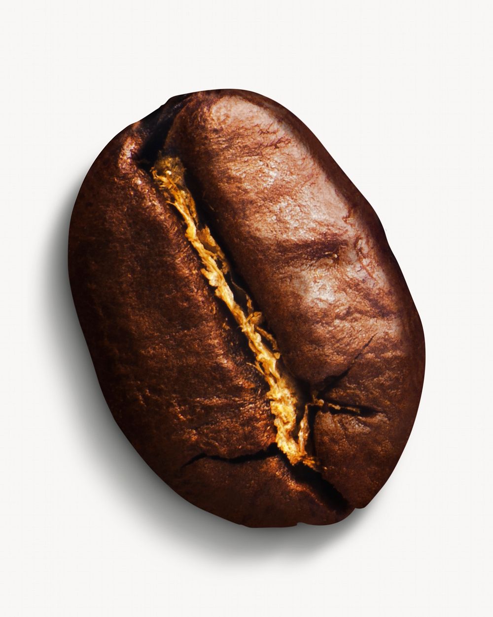 Coffee bean, isolated image