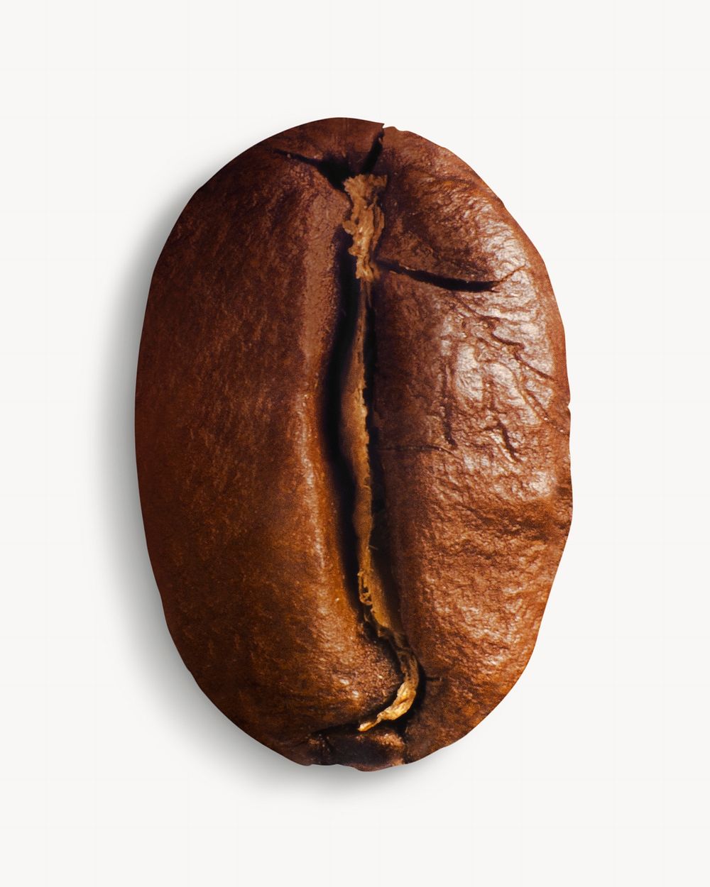 Coffee bean, isolated image