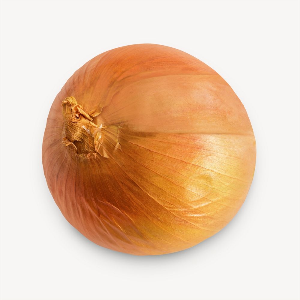 Fresh onion, collage element psd