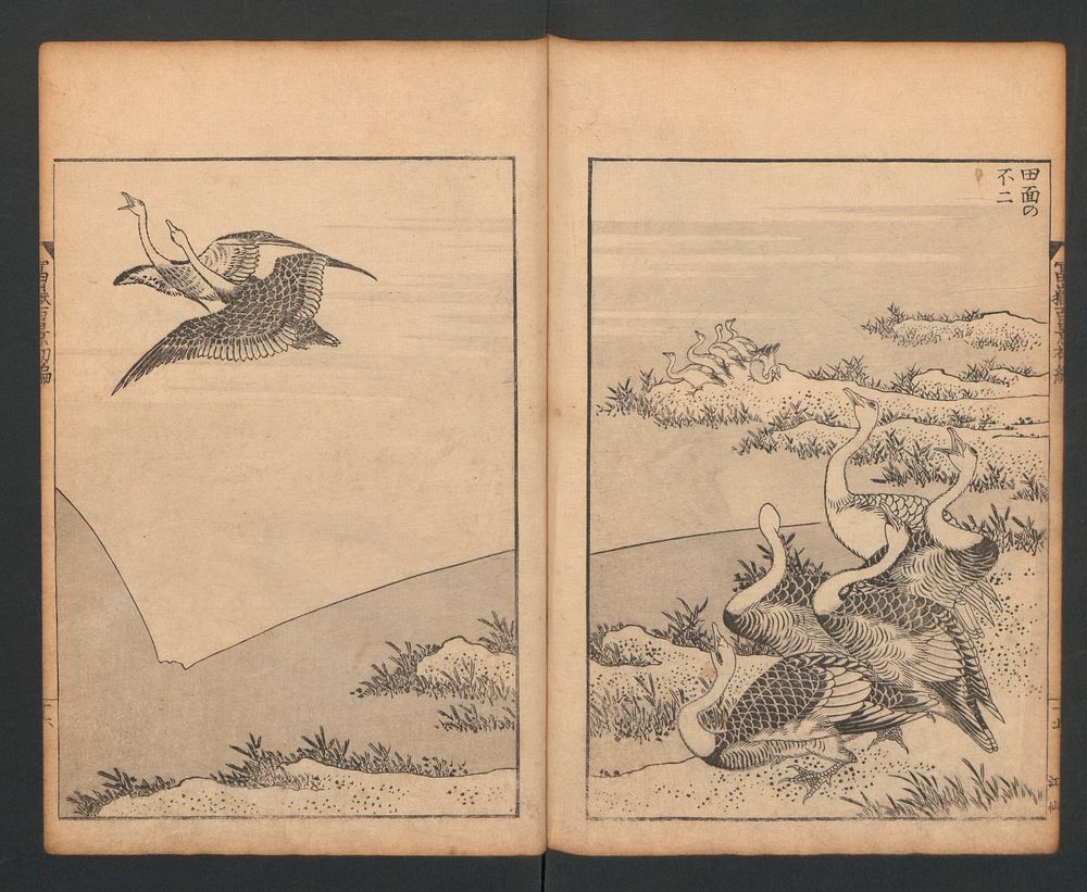 Hokusai's Mount Fuji of the Bamboo Grove (1835). Original public domain image from the MET museum.