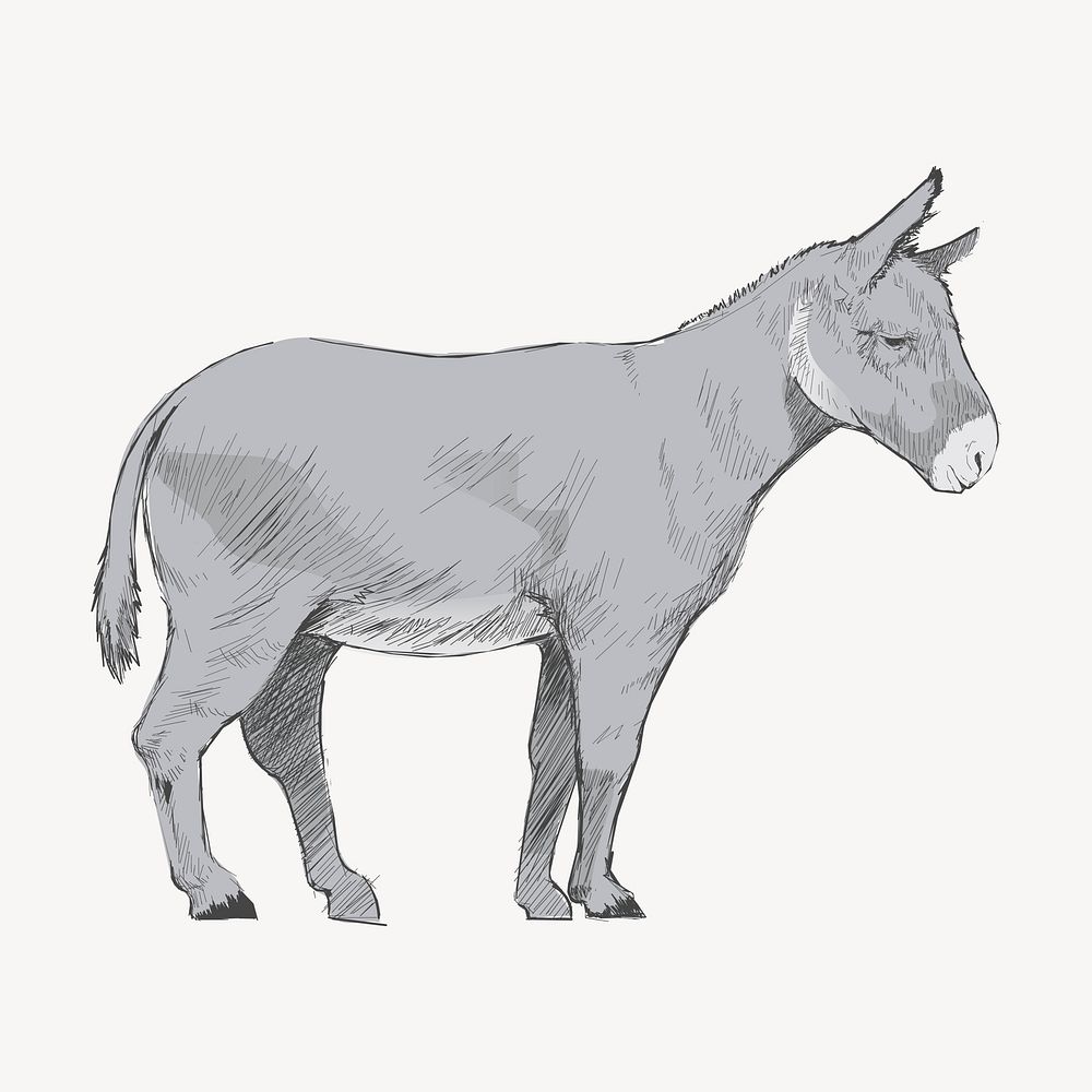 Donkey sketch animal illustration vector
