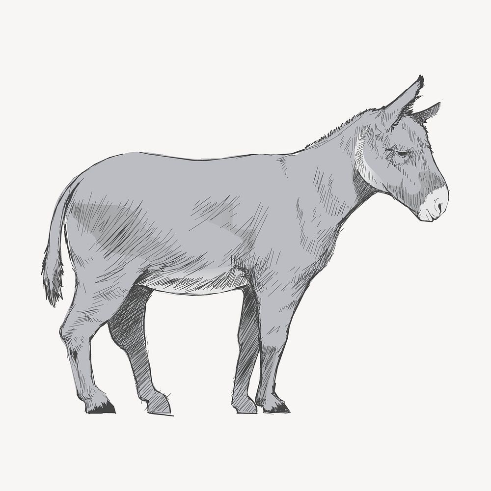 Donkey  sketch animal illustration psd