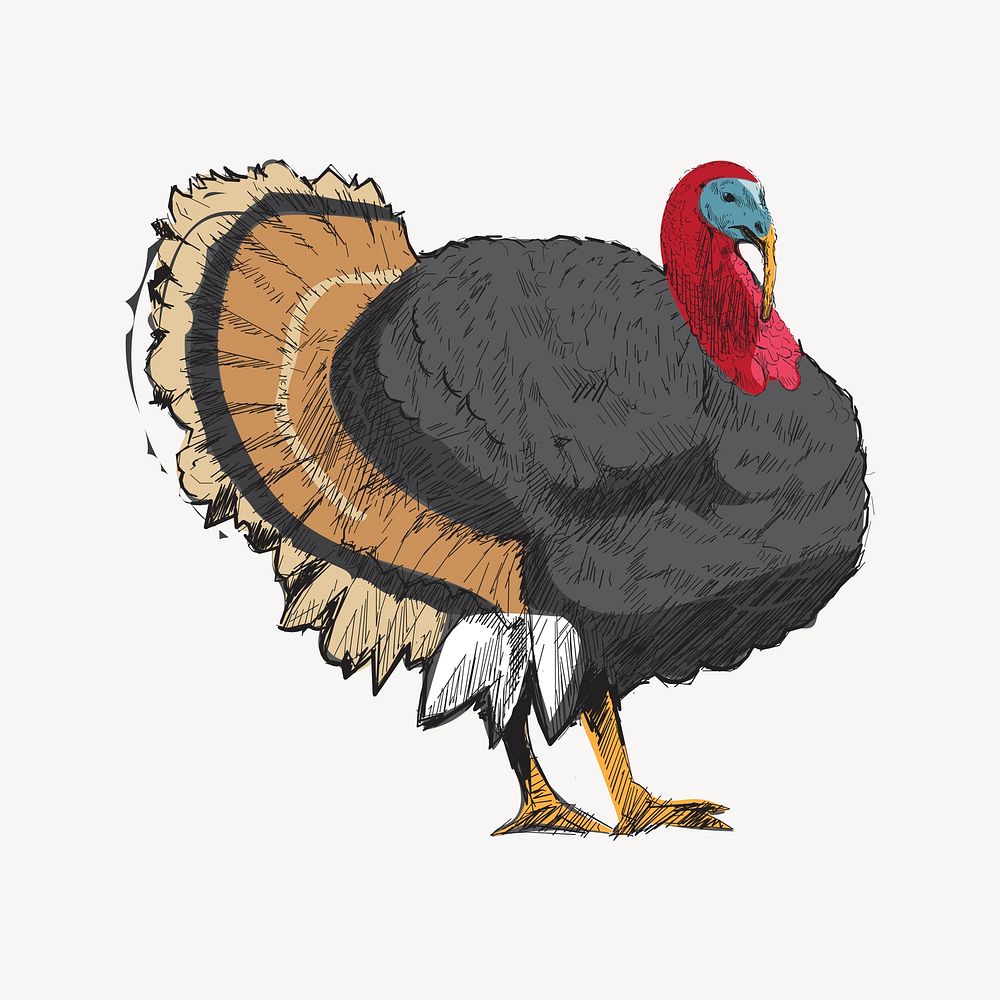 Big turkey animal illustration vector