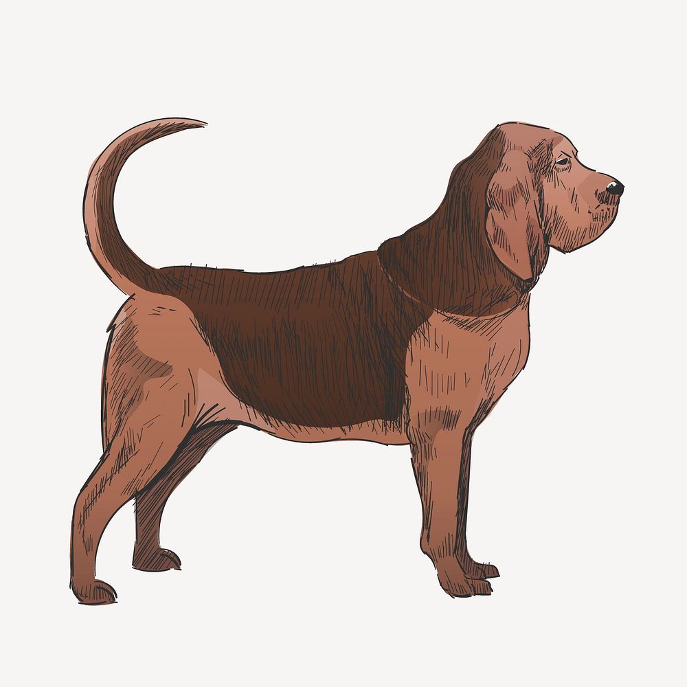 Bloodhound dog sketch animal illustration psd