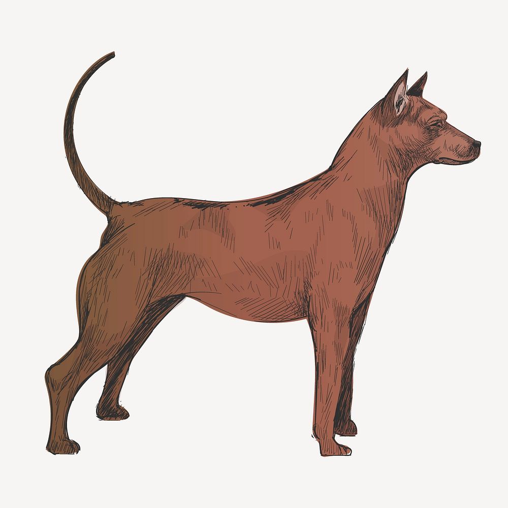 Thai Ridgeback dog sketch animal illustration psd