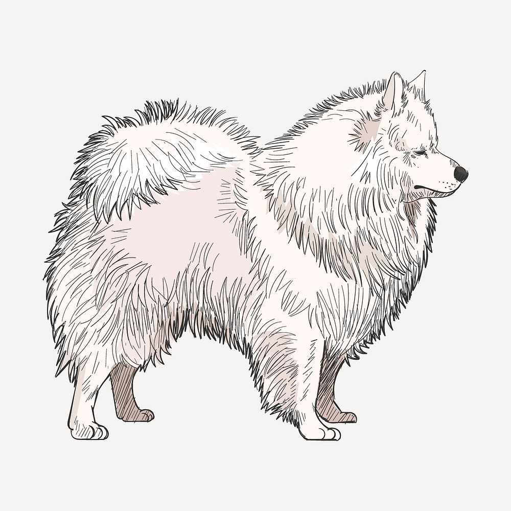 Spitz dog sketch animal illustration psd
