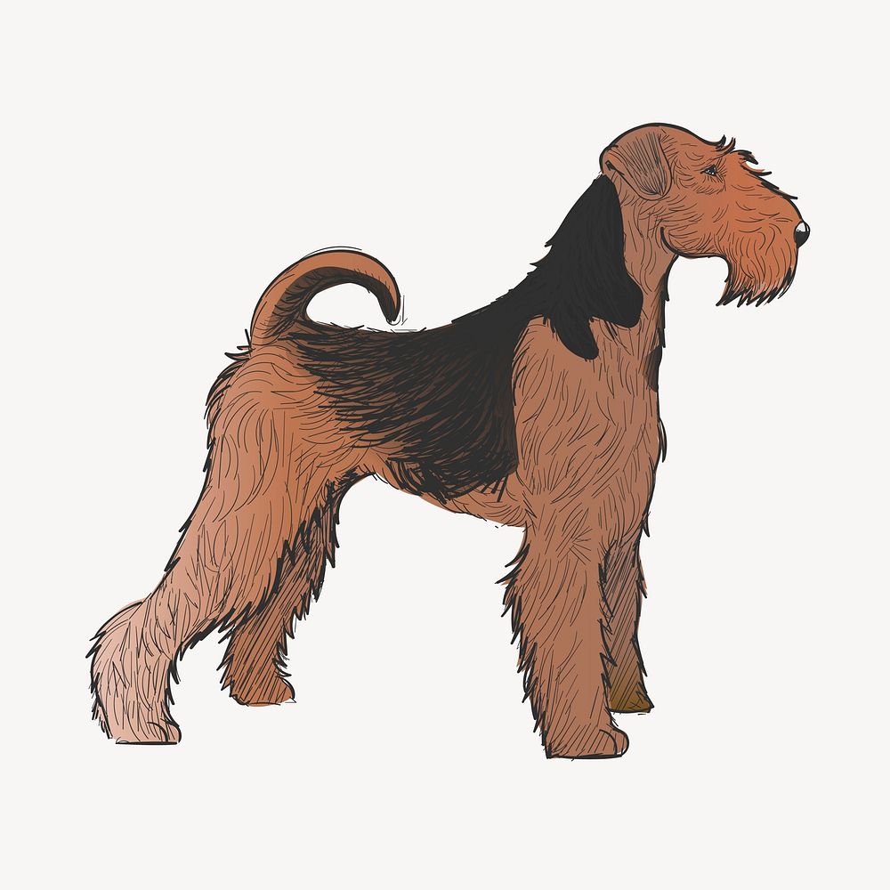 Airedale Terrier dog animal illustration vector
