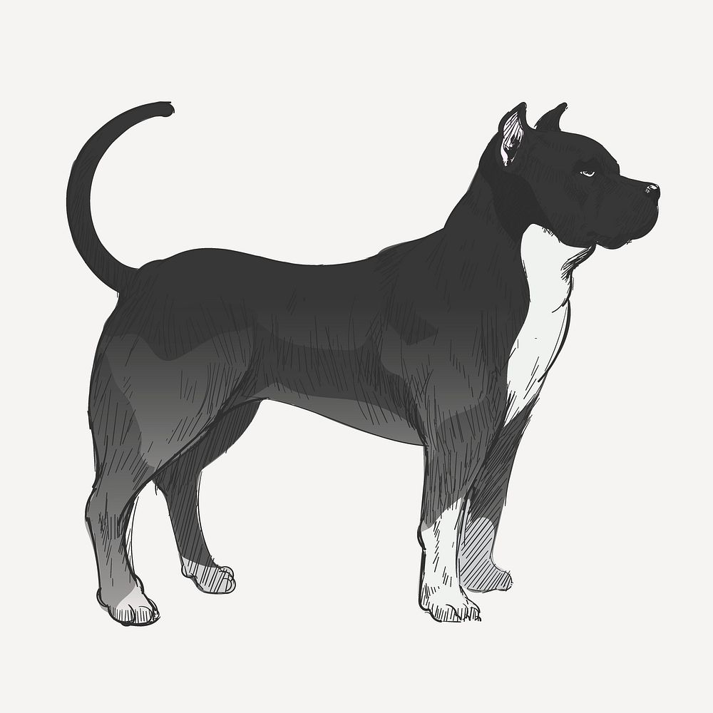 Pitbull dog sketch animal illustration psd