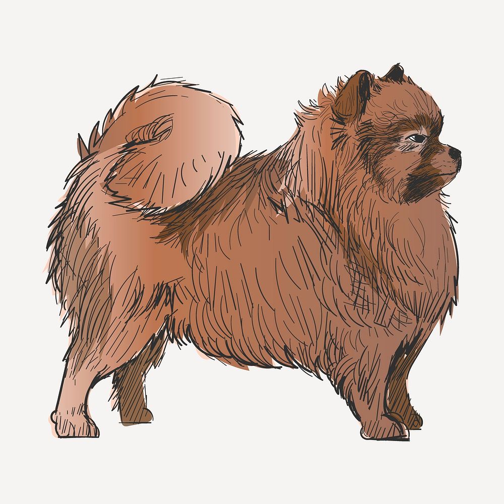 Pomeranian dog sketch animal illustration psd