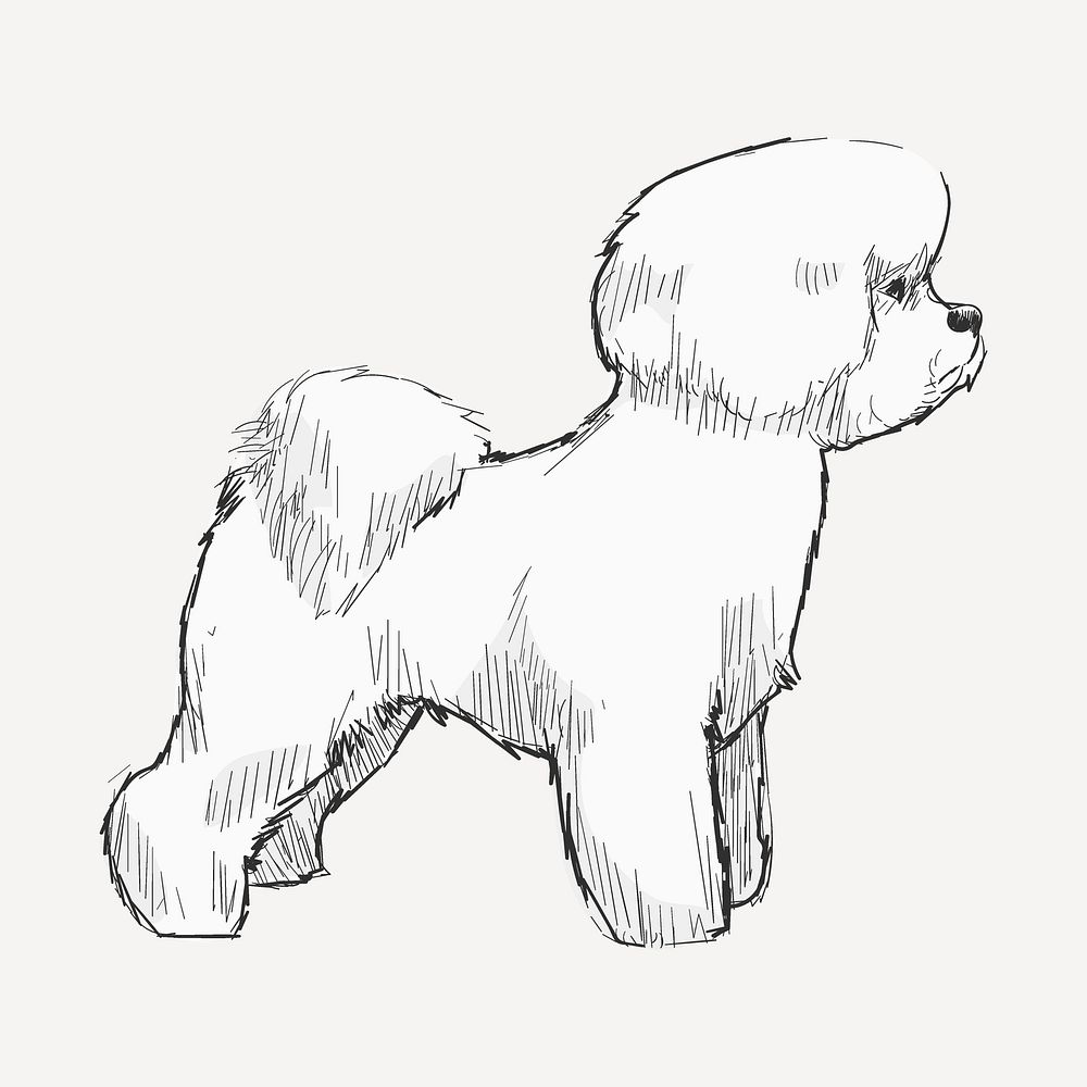 Bichon Frise dog sketch animal illustration psd