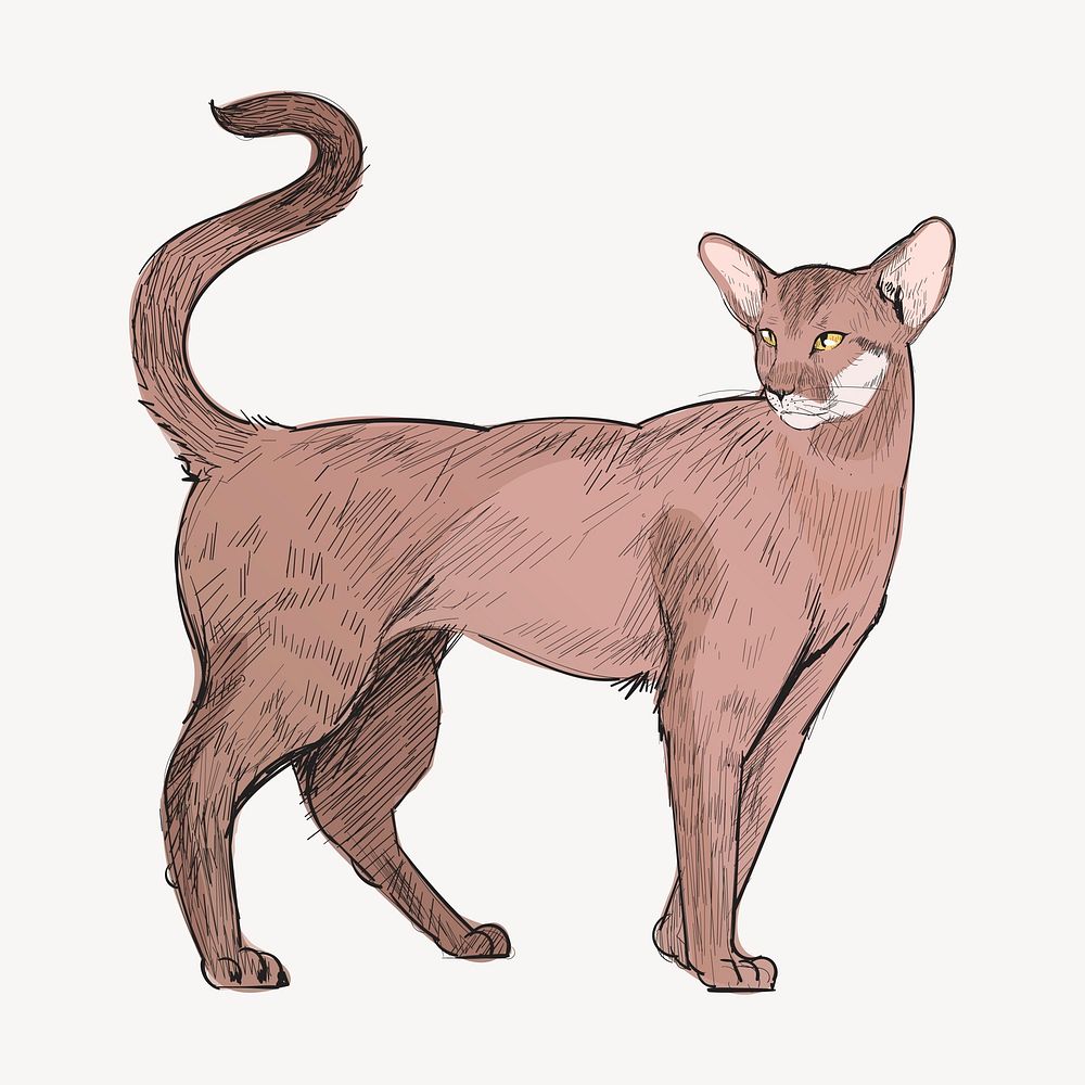 Oriental Shorthair animal illustration vector