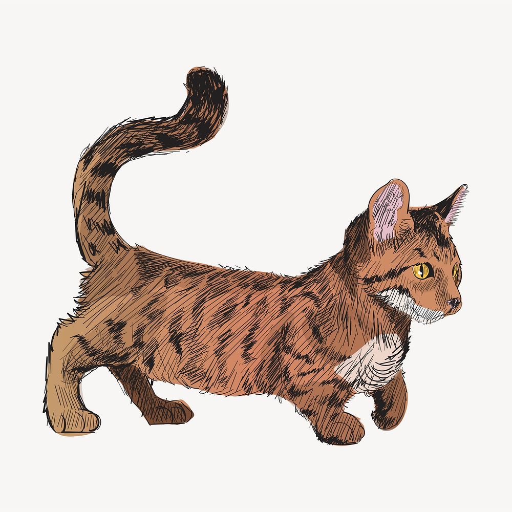 Dwarf cat animal illustration vector