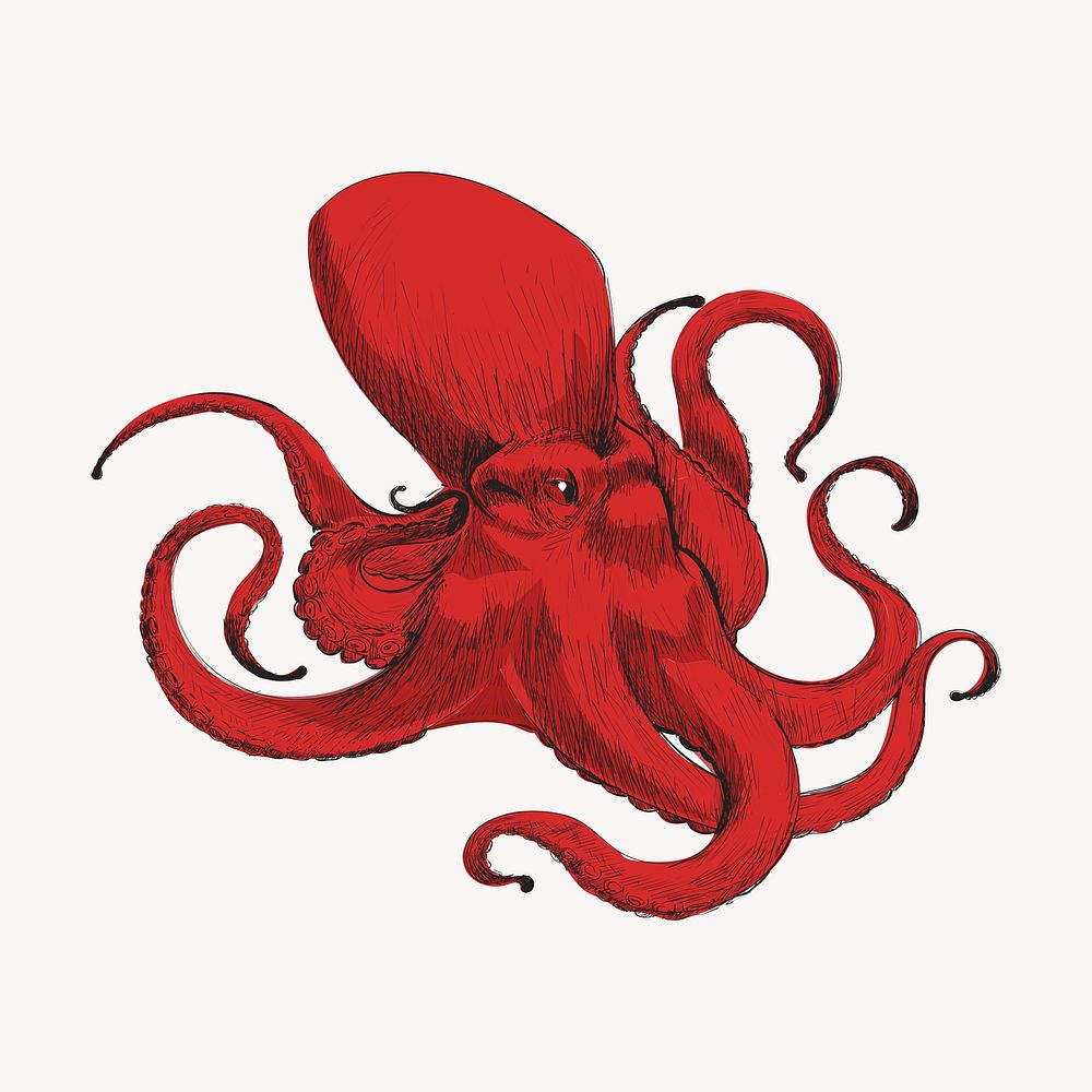 Red Giant octopus animal illustration vector