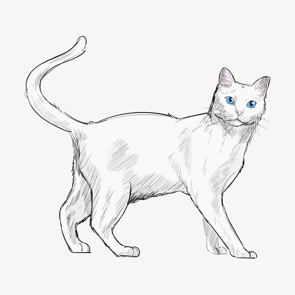 White cat animal illustration vector