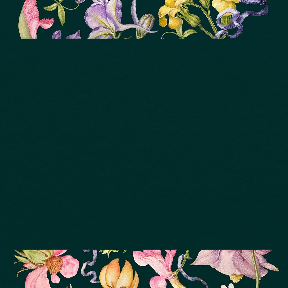 Flower border dark background, remixed from artworks by Pierre-Joseph Redout&eacute;
