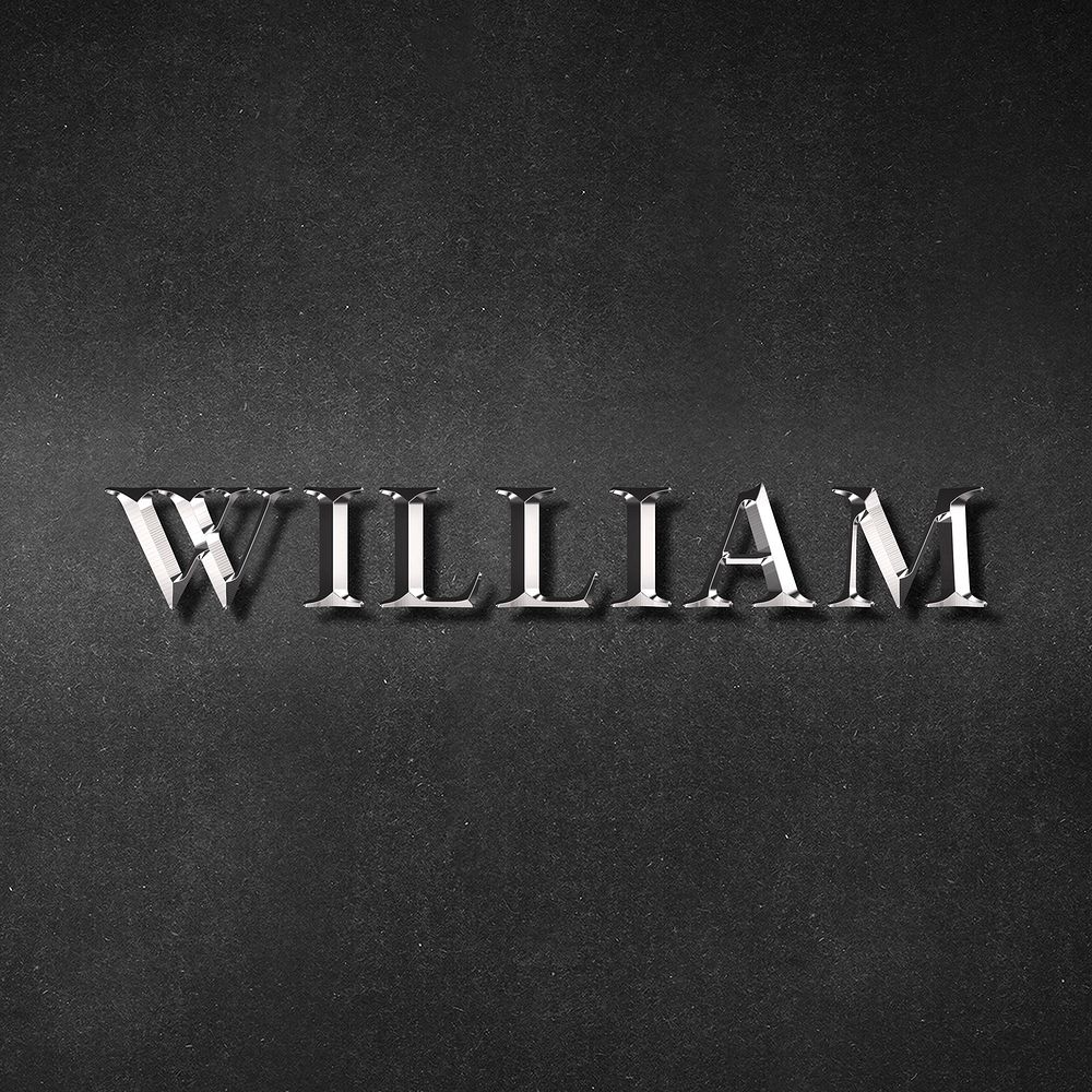 William typography in silver metallic effect design element