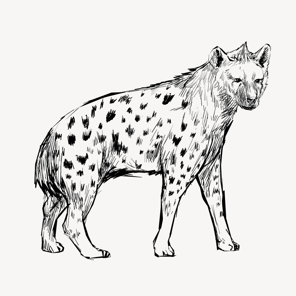 Hyena walking animal illustration vector