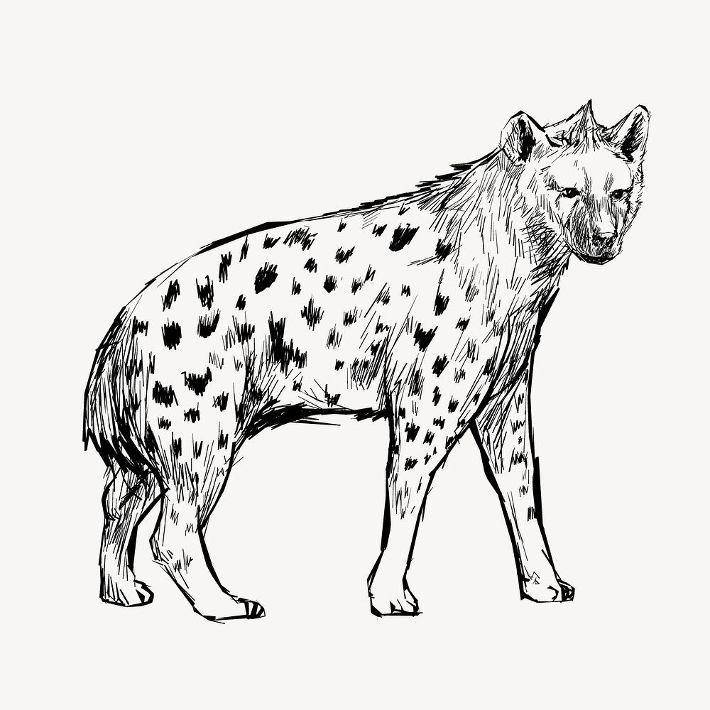 Hyena walking sketch animal illustration psd