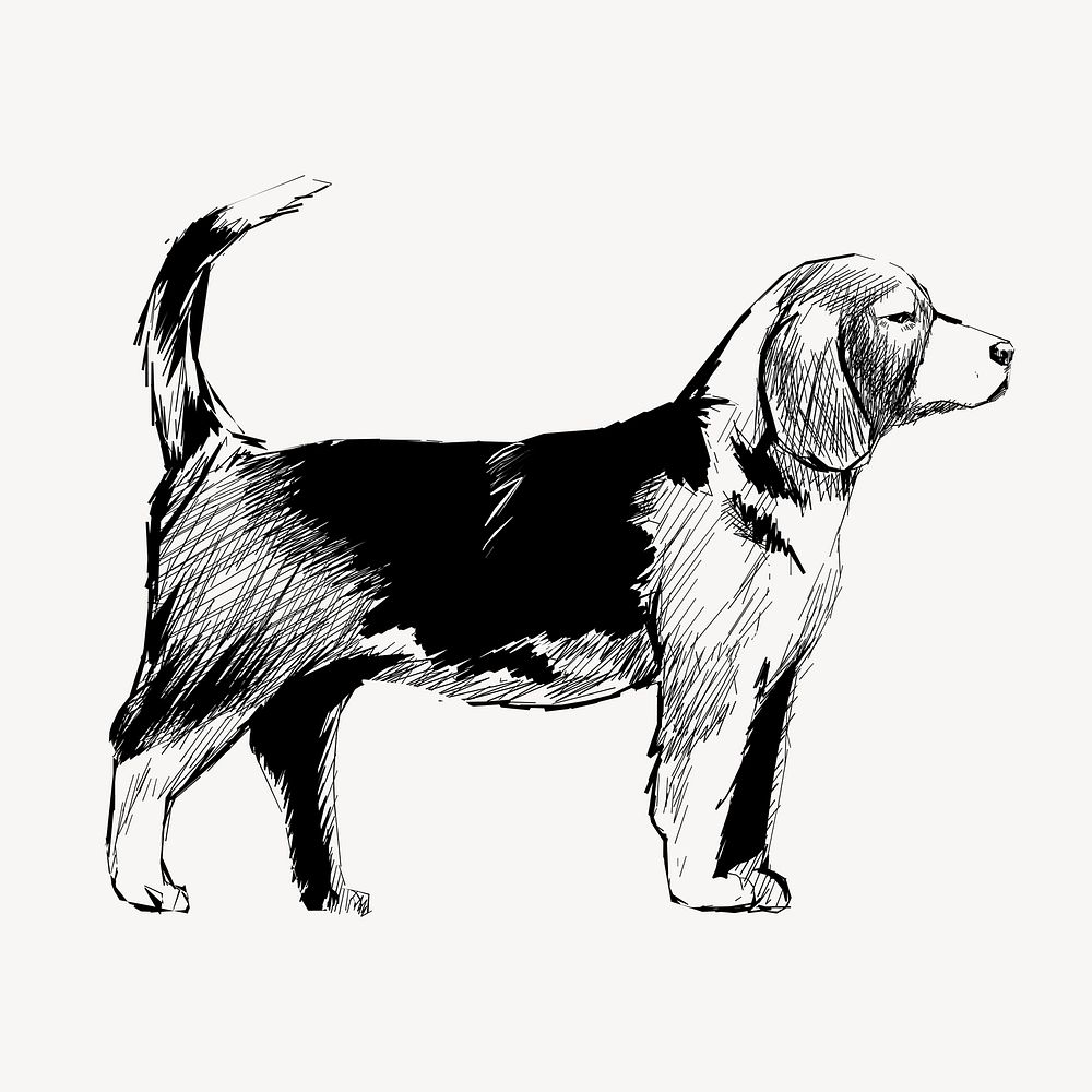 Beagle dog animal illustration vector