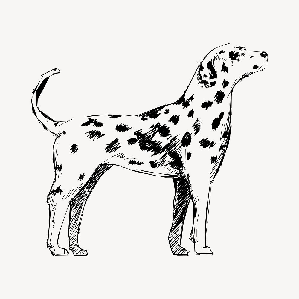 Dalmatian dog animal illustration vector