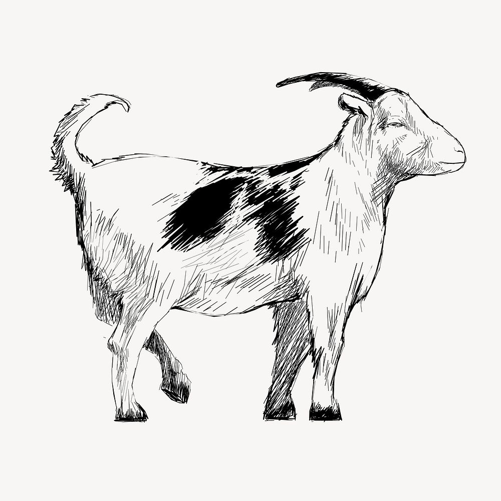 Goat sketch animal illustration vector