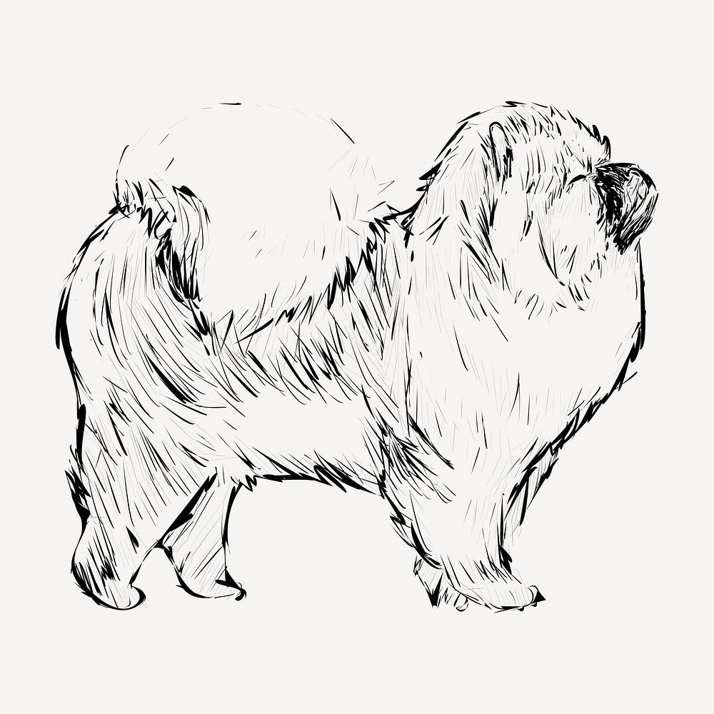 Chow Chow dog animal illustration vector