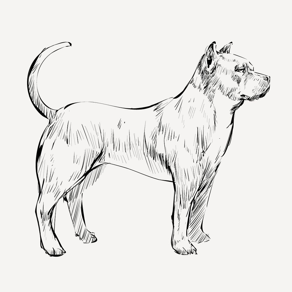 Pitbull dog sketch animal illustration psd