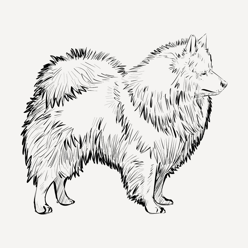 Spitz dog sketch animal illustration | Premium PSD - rawpixel