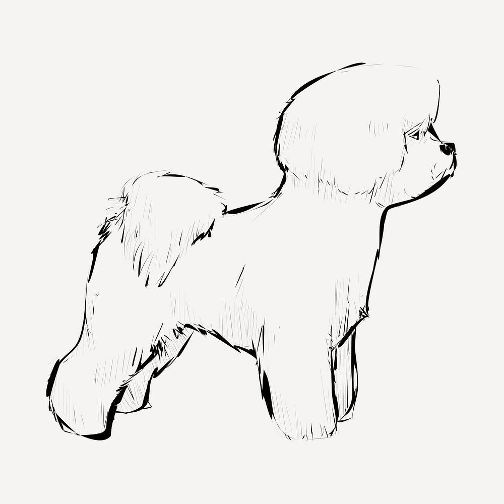 Bichon Frise dog animal illustration vector
