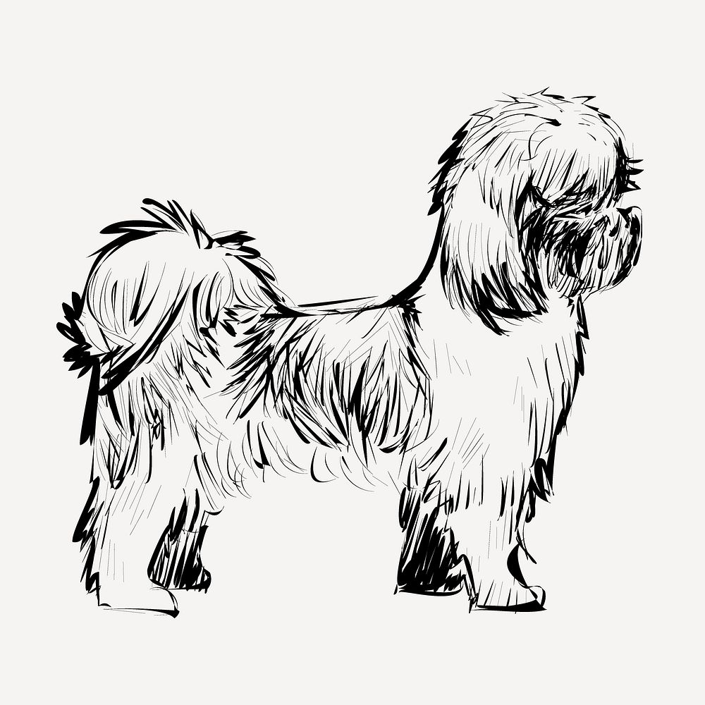 Shih Tzu dog sketch animal illustration psd