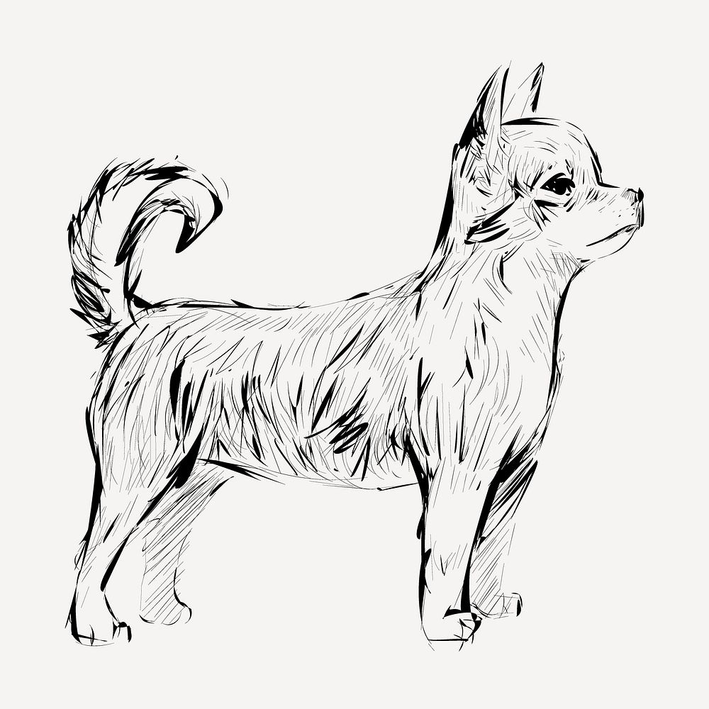 Chihuahua dog sketch animal illustration psd