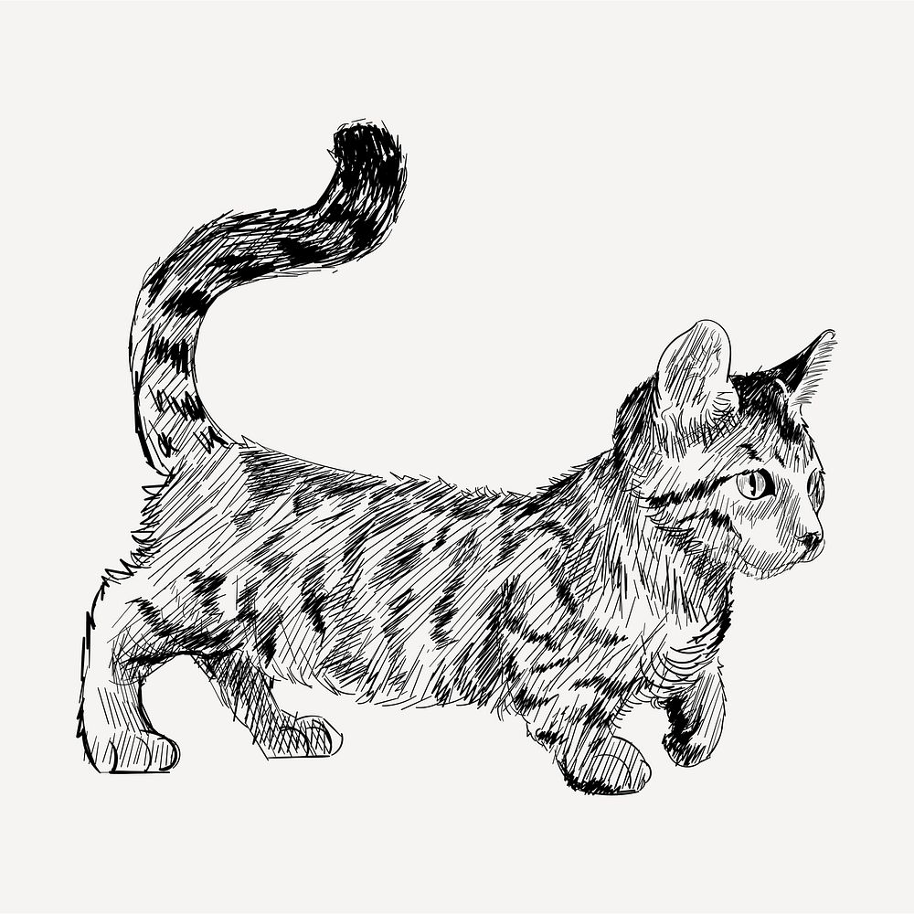 Dwarf cat animal illustration vector