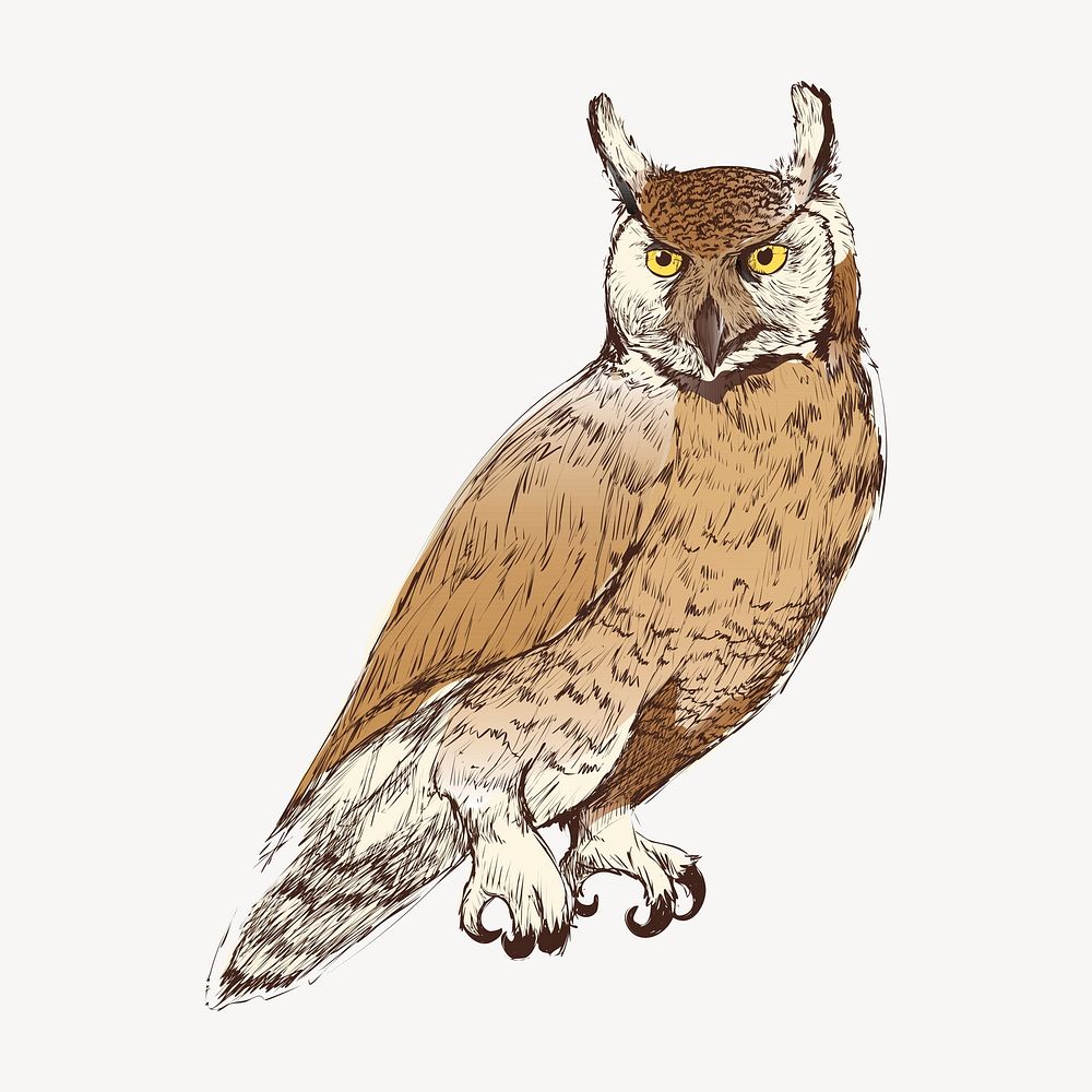 Great Horned owl animal illustration vector