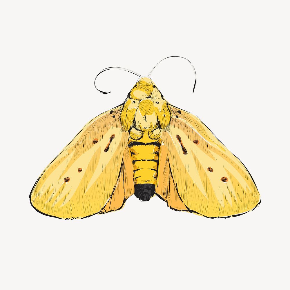 Yellow moth animal illustration vector