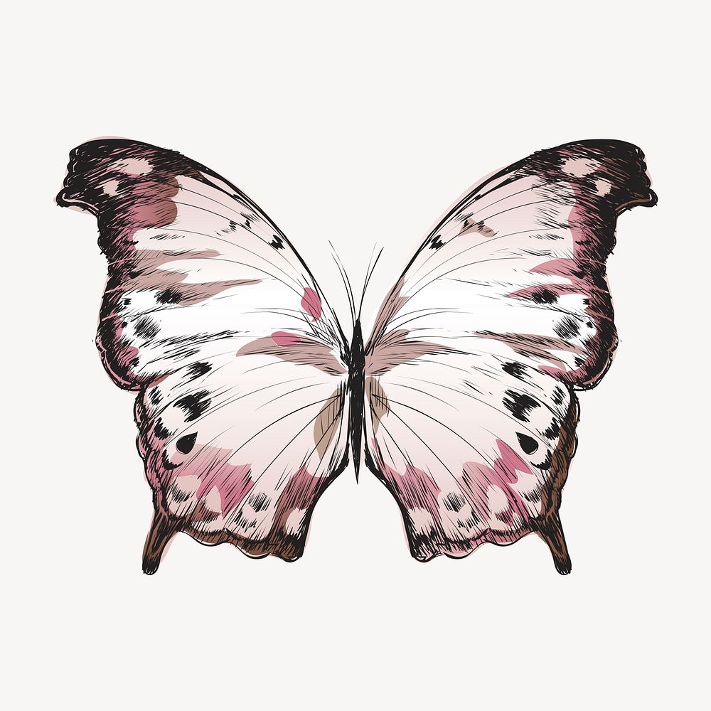 Pastel butterfly animal illustration vector