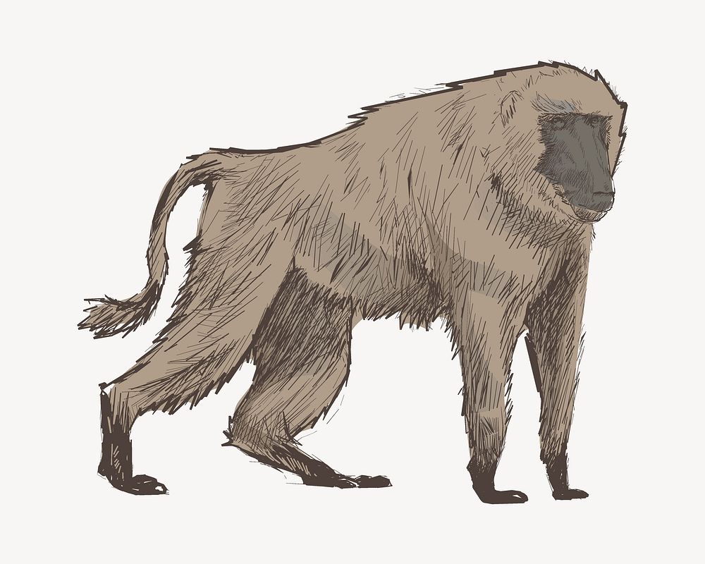 Baboon  sketch animal illustration psd