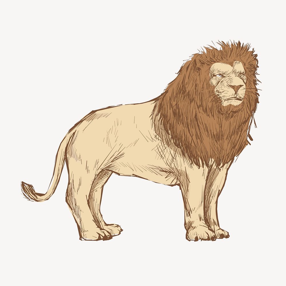 Congo lion animal illustration vector