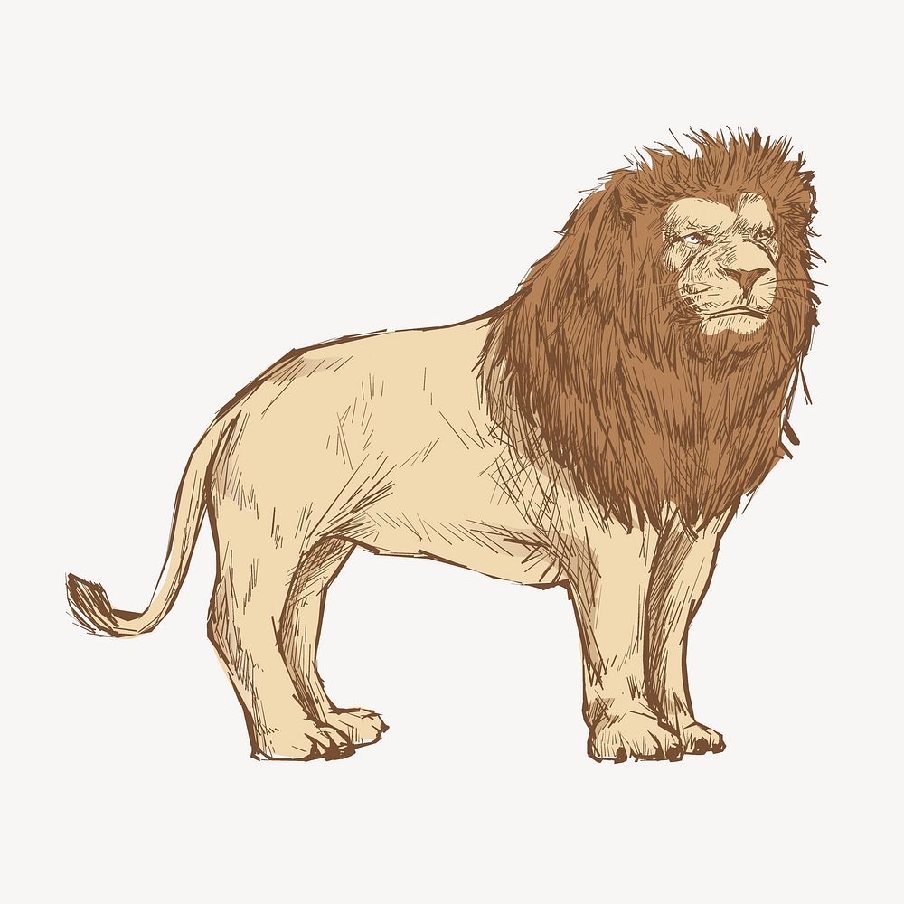 Congo lion sketch animal illustration psd