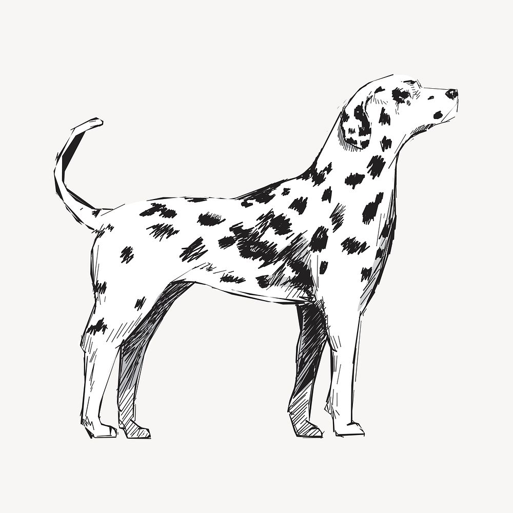 Dalmatian dog animal illustration vector