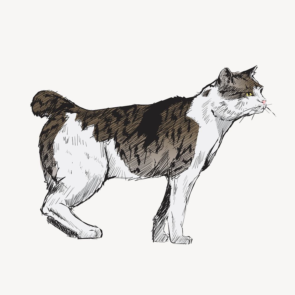 Japanese Bobtail cat animal illustration vector