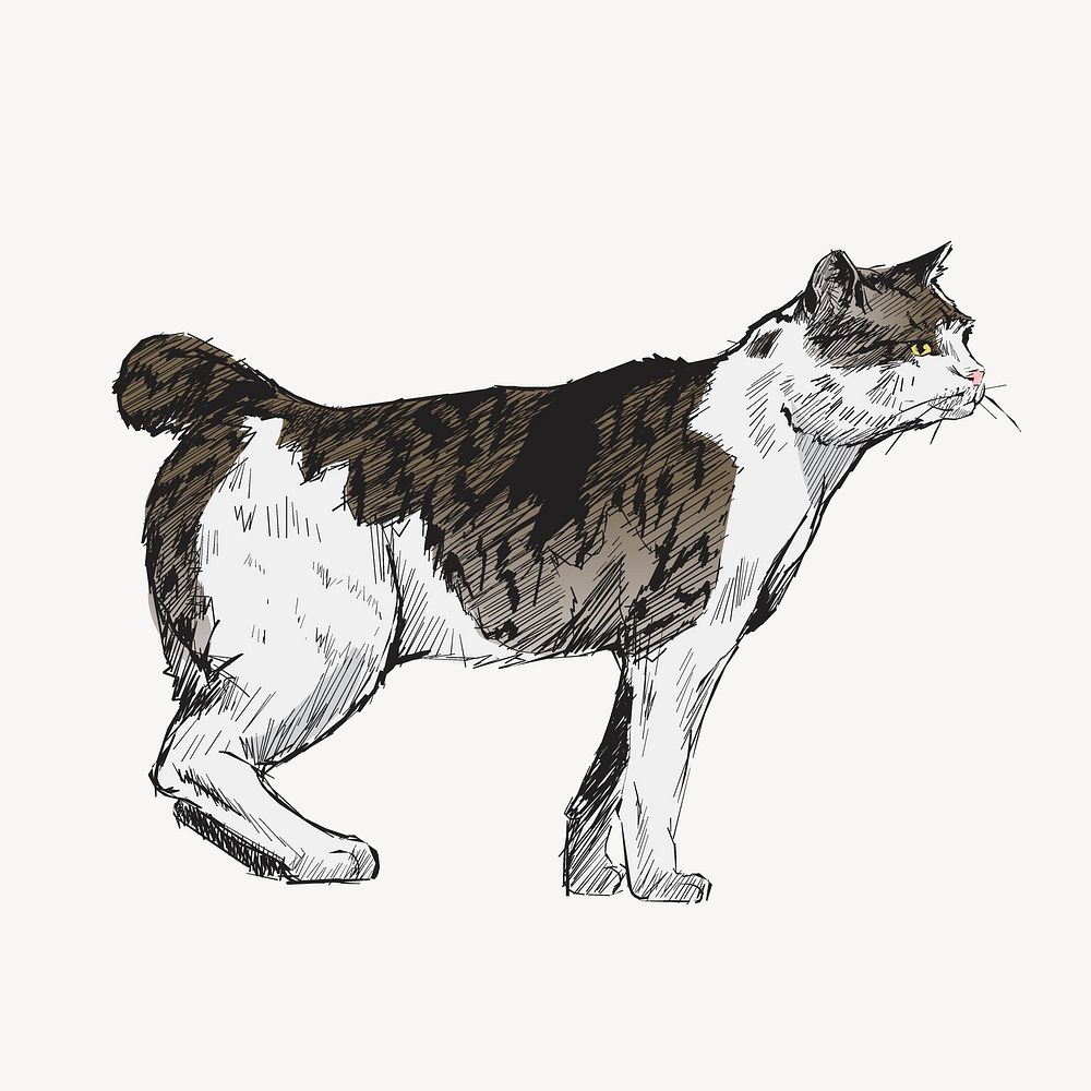 Japanese Bobtail cat sketch animal illustration psd