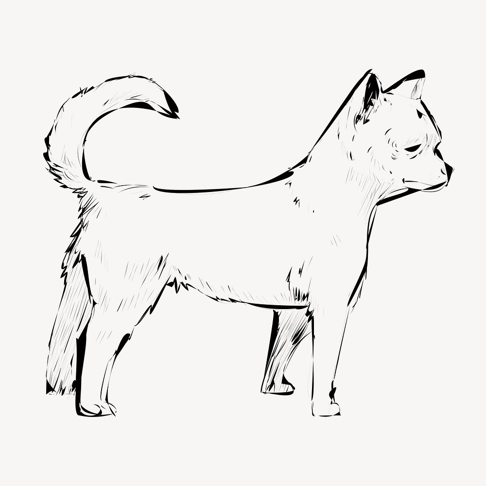 Chihuahua dog animal illustration vector