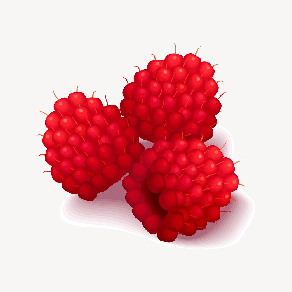 Raspberry illustration psd. Free public domain CC0 image.