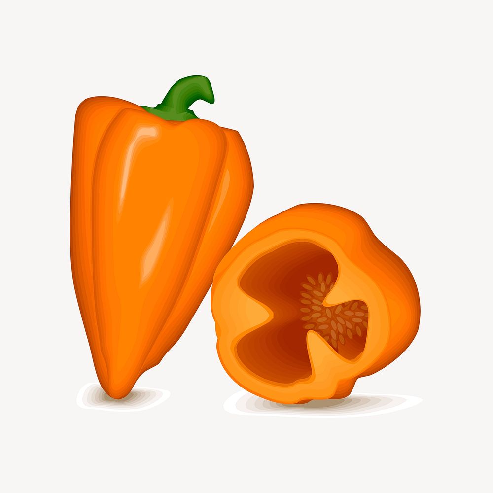 Orange bell pepper illustration. Free public domain CC0 image.