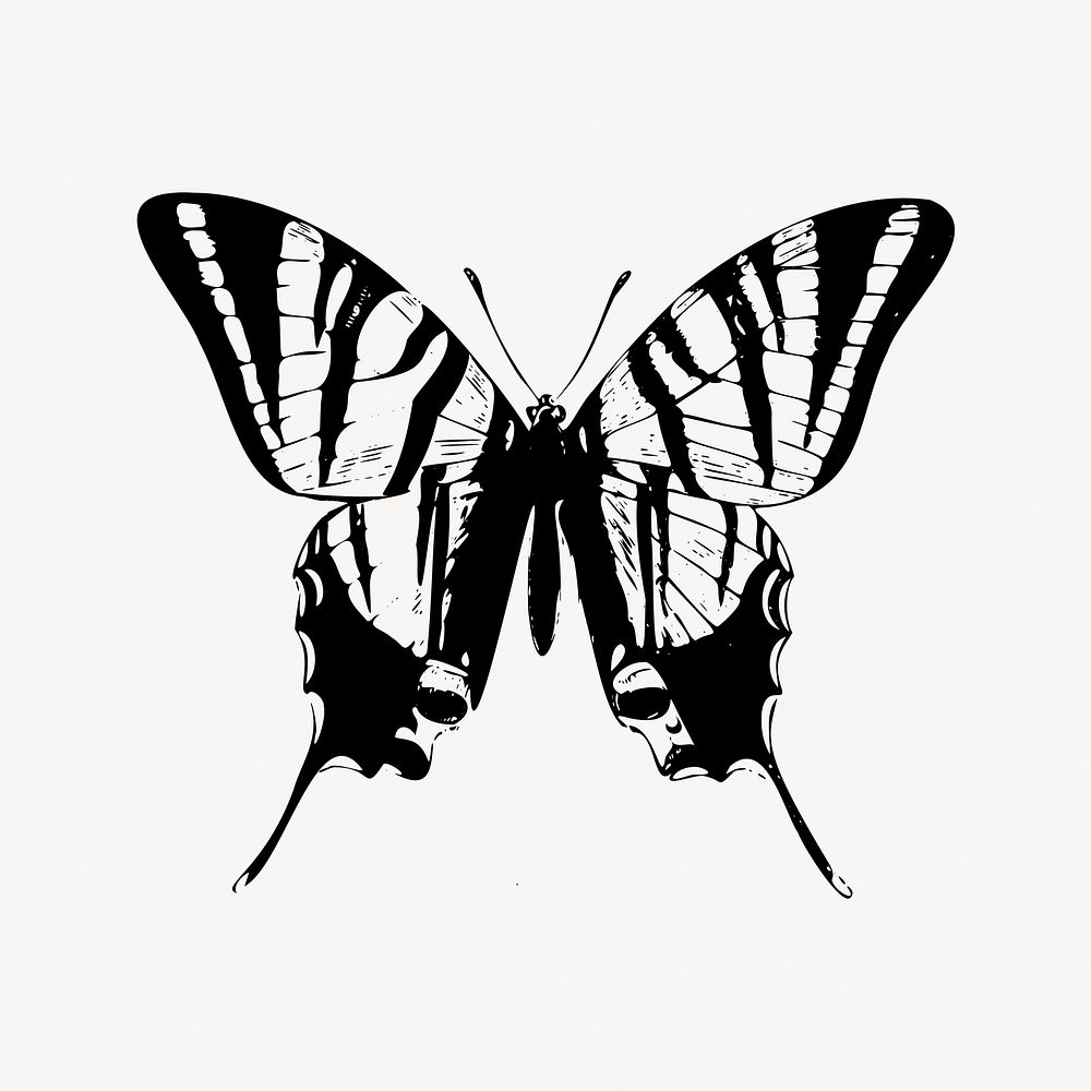 Butterfly illustration vector. Free public domain CC0 image.