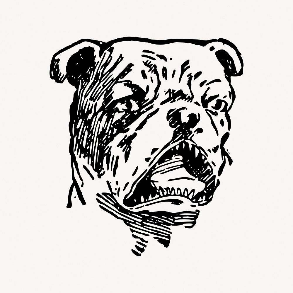 Bulldog clipart illustration vector. Free public domain CC0 image.