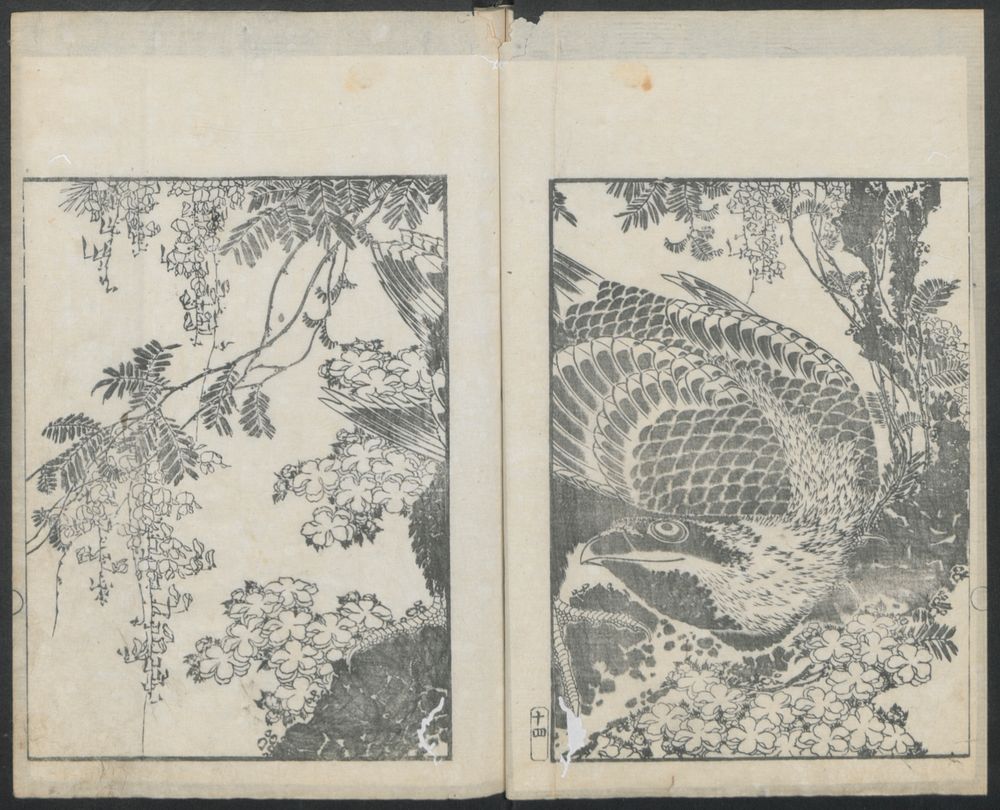 Examples of hokusai's drawing (1818). Original public domain image from the MET museum.