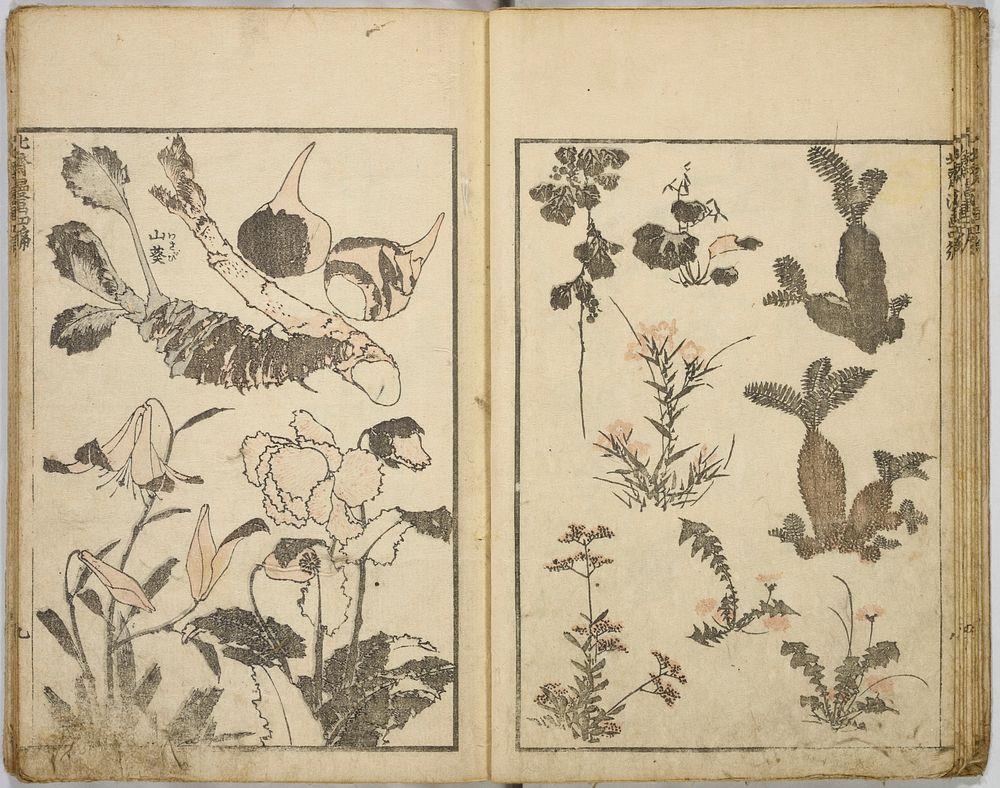 Random sketches Hokusai volumes 1 | Free Photo - rawpixel