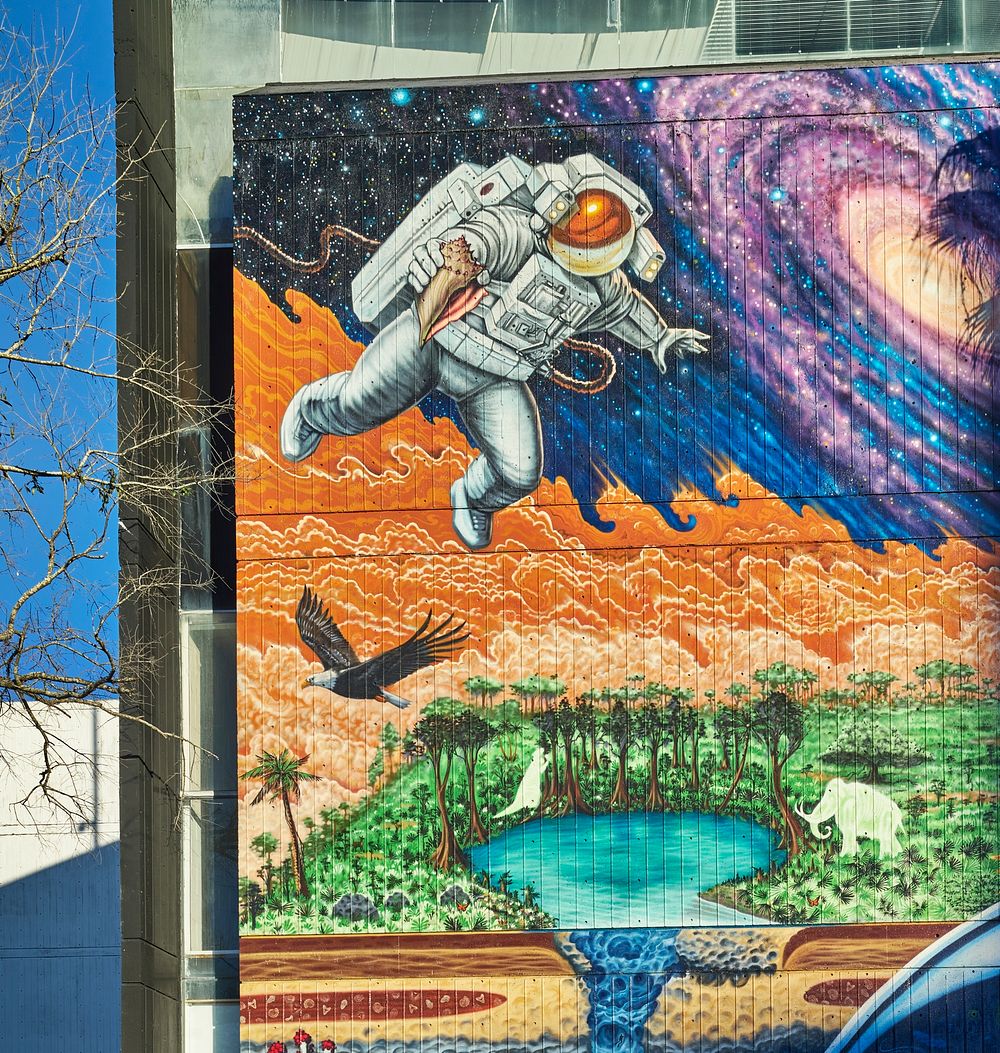                         A portion of artist Shaun Thurston's full-wall mural outside the Museum of Science and History in…